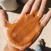 خرید و فروش و بوجاری خاکشیر