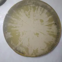 دف.مهر حبیبی