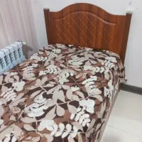 تخت یکنفره باتشک