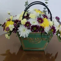 گل طبیعی|گل و گیاه طبیعی|مشهد, جانباز|دیوار