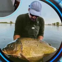 استخدام نیروی کار