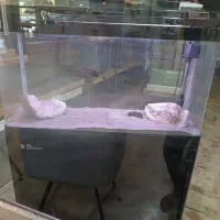 فروش اکواریوم خارجی مارک RS