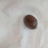 شهاب‌سنگ به فروش میرسد