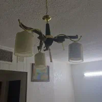 دوعددلوسترسه شاخه