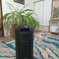 اسپیکر|سیستم صوتی خانگی|رفسنجان, |دیوار