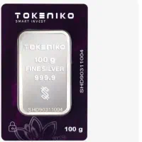 شمش نقره100گرمی توکنیکو