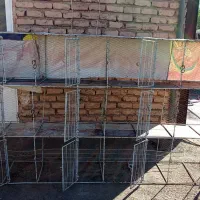 جفتگاه کفتر