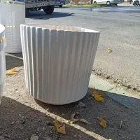 گلدان|گل و گیاه طبیعی|اسلام‌‌آباد غرب, |دیوار