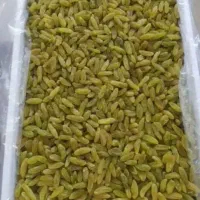 کشمش اعلا بایهترین کیفیت|عمدهفروشی|کاشمر, |دیوار