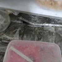 یخچال و فریزر دوقلو الکترو استیل|یخچال و فریزر|برخوار, |دیوار