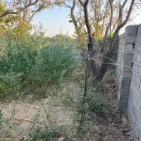 چهاردیوادی باغچه درخت