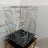 قفس ۱۰۳۳در حد نو