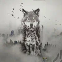 فروش ونصب انواع پوستر سه بعدی ومعمولی