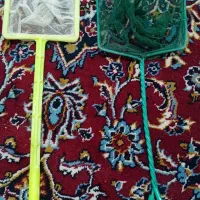 اکواریوم|ماهی|بیرجند, |دیوار