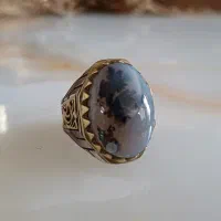 انگشتر شجر قاعن.