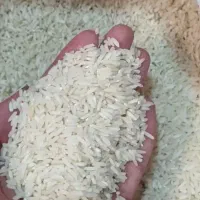 برنج هاشمی محلی