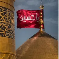 تور کربلا زمینی هوایی ویکسر همه روزه