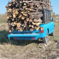 خرید چوب و درخت های باغی.باحمل برش رایگان