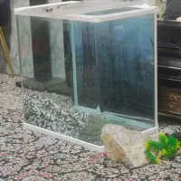 تصویر قابدار شیشه خم
