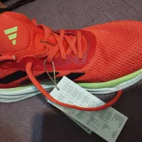 کفش|کیف، کفش، کمربند|ایلام, |دیوار