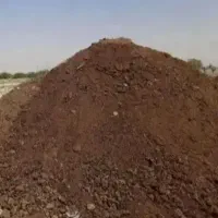 کود حیوانی