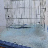 قفس|لوازم جانبی حیوانات|باوی, |دیوار