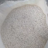 لوبیا سفید وقرمز