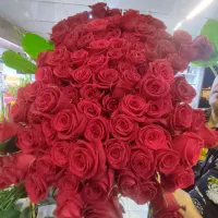پخش و فروش انواع گلهای شاخه بریده ودسته گل وباکس|گل و گیاه طبیعی|رشت, گلسار|دیوار