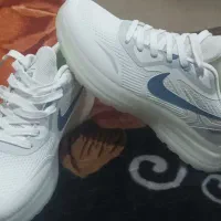 اسپورت مردانه|کیف، کفش، کمربند|ارومیه, |دیوار