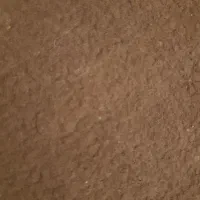 نظافتچی  اقام