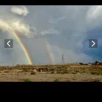 زمین-گرمه-نیلوفر
