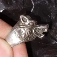 انگشتر گرگ آب کاری شده نقره|بدلیجات|زاهدان, |دیوار