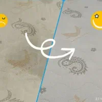 نانو پاکینوس|مواد شوینده و دستمال کاغذی|قزوین, |دیوار