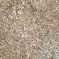 یک تن کاه یونجه