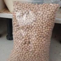 حبوبات