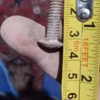 پیچومهره|ابزارآلات|مراغه, |دیوار