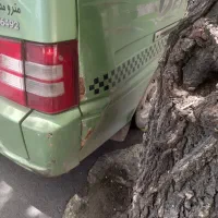 ون دلیکا