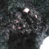 لباس های تمیز وسالم|لباس|قرچک, زیبا شهر|دیوار