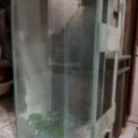 اکواریوم