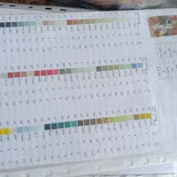 نخ ونقشه