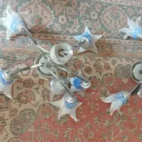 دوعددلوسترسه شاخه وپنج شاخه