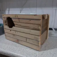 لانه عروس هلندی