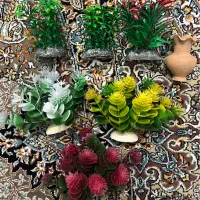 متعلقات آکواریوم|ماهی|اصفهان, مولوی|دیوار