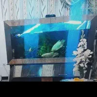 آکواریوم ماهی ام دی اف باپایه فلزی|ماهی|محلات, |دیوار