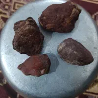 هبهاب