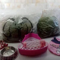 یونجه لباس قلاده ظرف دستشویی ظرف آب غذا خرگوش