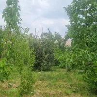 فروش ویژه باغ به همراه ساختمان فیروزکوه زرین دشت|فروش زمین و ملک کلنگی|فیروزکوه, |دیوار