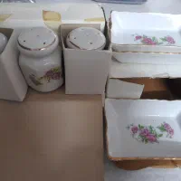 ظروف چینی