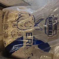 خرگوش|موش و خرگوش|تهران, کرمان|دیوار