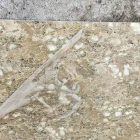 ورق پی وی سی|مصالح و تجهیزات ساختمان|زبرخان, |دیوار